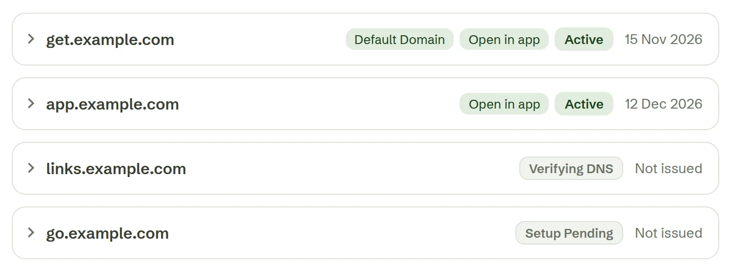 Three custom domains in Settings: two active, one waiting for its DNS record to be verified